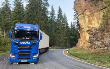 Livrare mărfuri paletizate – camion în România